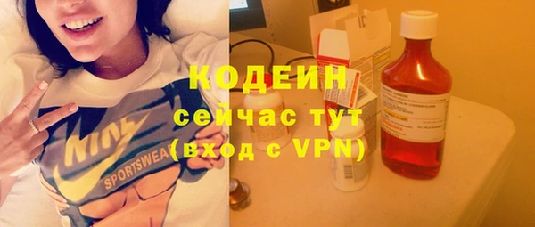 гидра Арсеньев